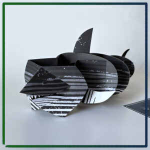 Nicolas Codron - The Ancient Shark Pop-up Tunnel Book - 2026